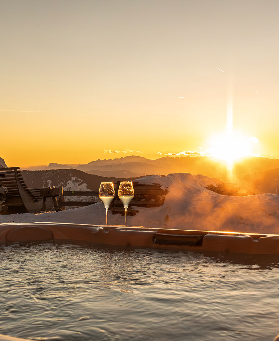 brixen-plose-rossalm-wellness-erholung-zimmer-auf-der-alm-südtirol-1-panorama-sauna-(3)